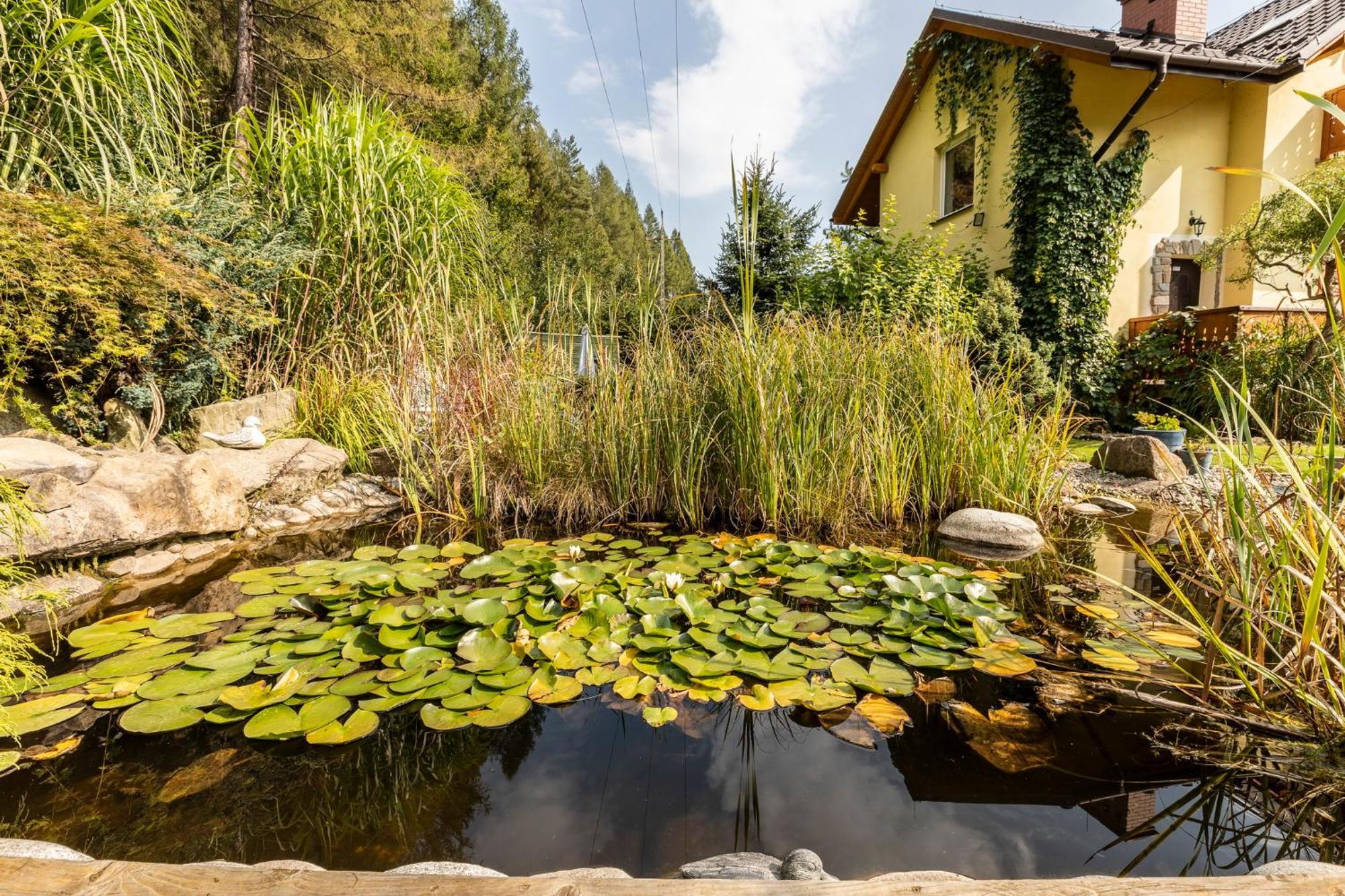 Apartamenty Zielona Owieczka Niedzica Zamek Esterno foto
