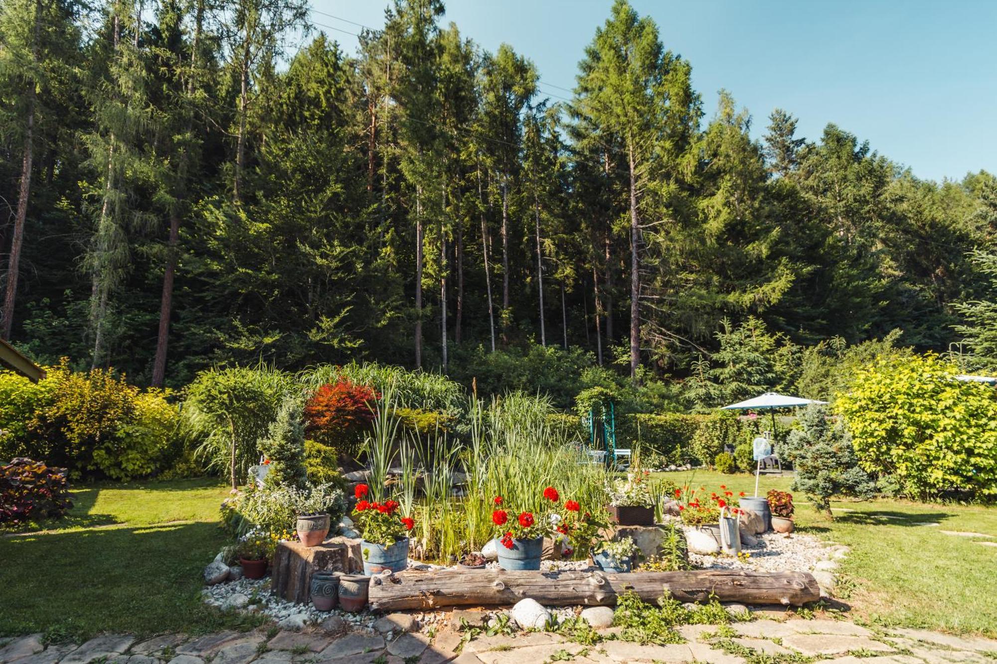 Apartamenty Zielona Owieczka Niedzica Zamek Esterno foto