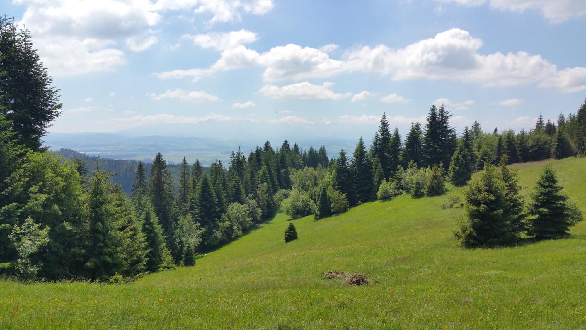 Apartamenty Zielona Owieczka Niedzica Zamek Esterno foto